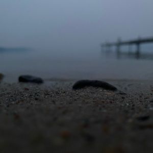 Meet your Posher, Kaycee